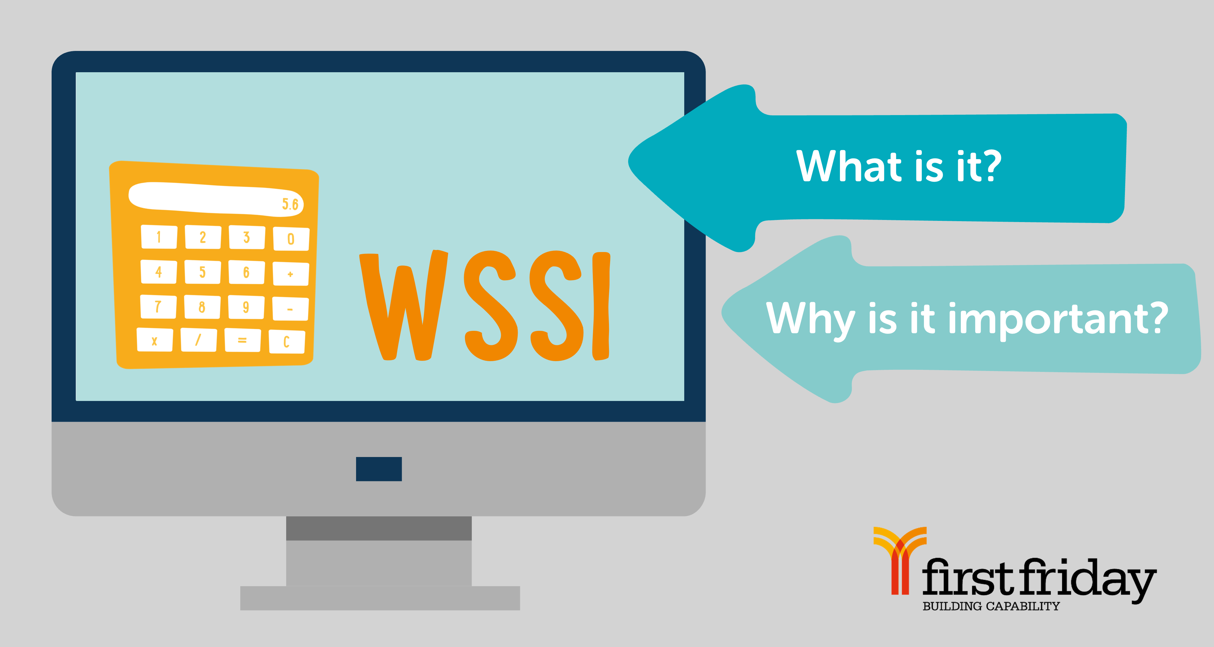 What is a WSSI? - article from First Friday